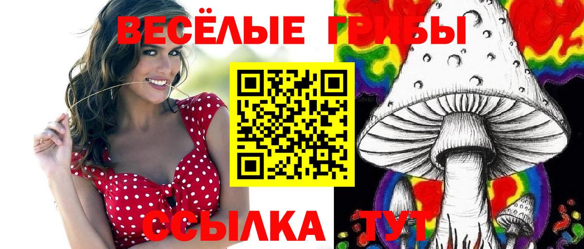 наркота  Вход с VPN  Избербаш  Галлюциногенные грибы Psilocybine cubensis  Галлюциногенные грибы мицелий 